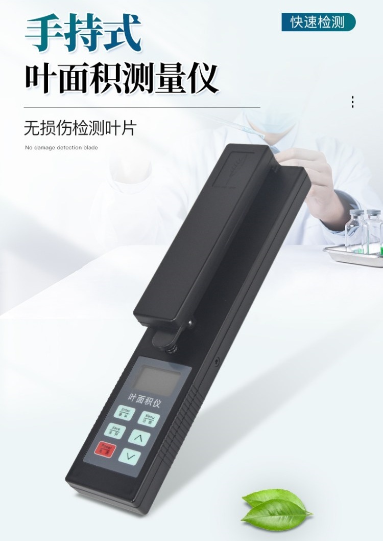 1715409026323064.jpg 葉面詳1.jpg